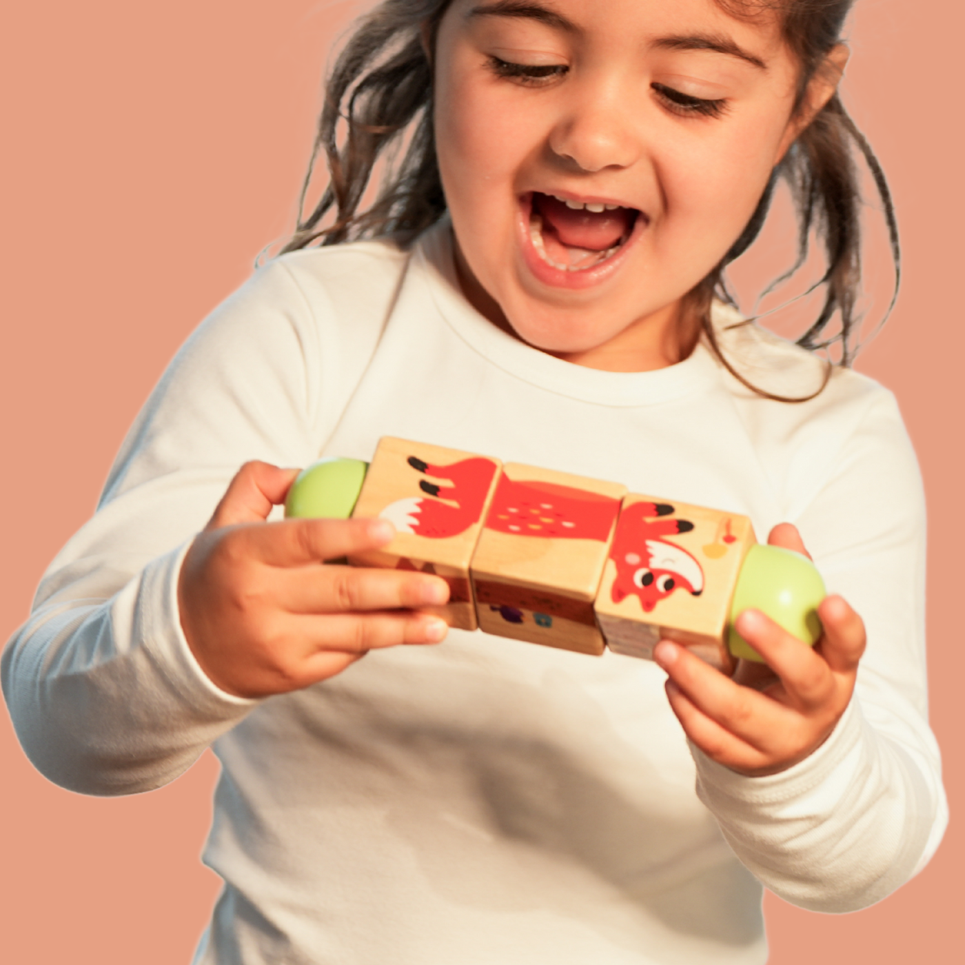 19-24 Month Educational Toy Kit