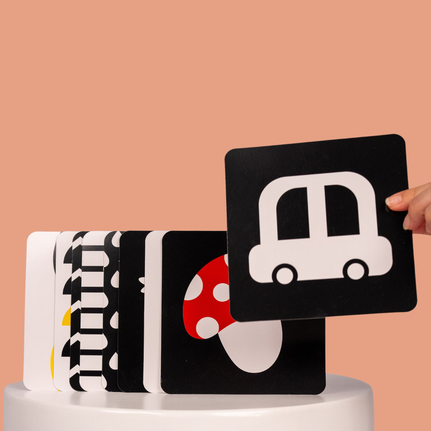 0-6 Month Educational Toy Kit