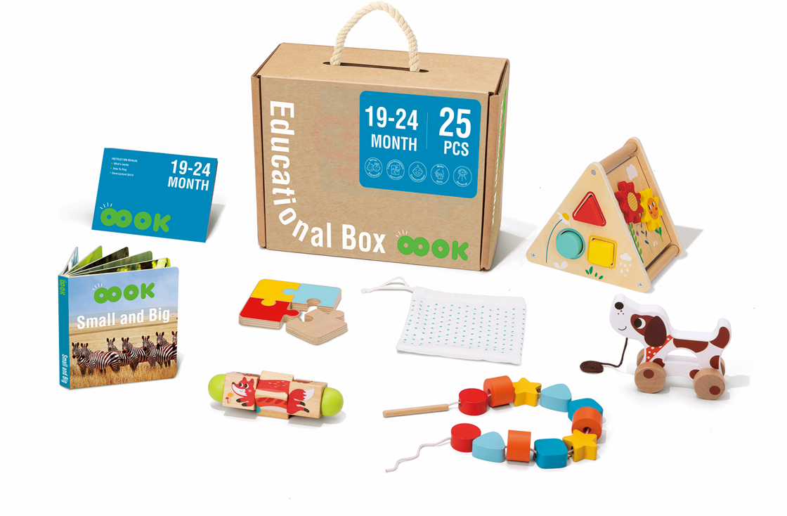 19-24 months Educational Toy Kit