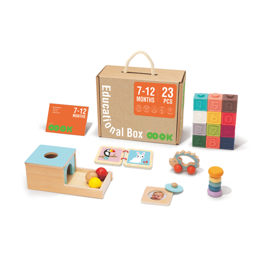 7-12 Month Educational Toy Kit