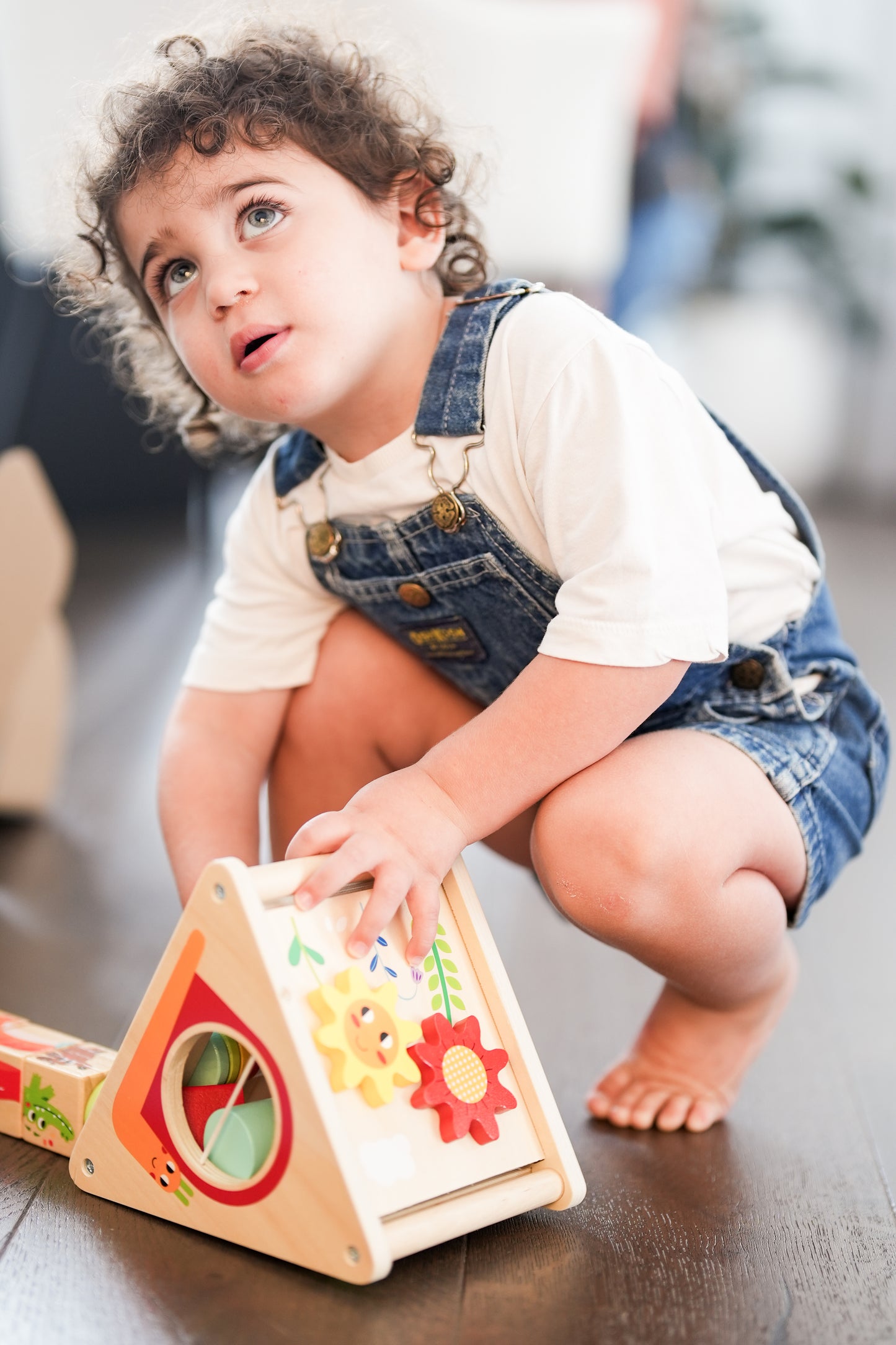 19-24 Month Educational Toy Kit