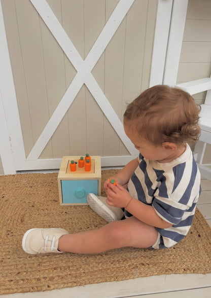 13-18 Month Educational Toy Kit