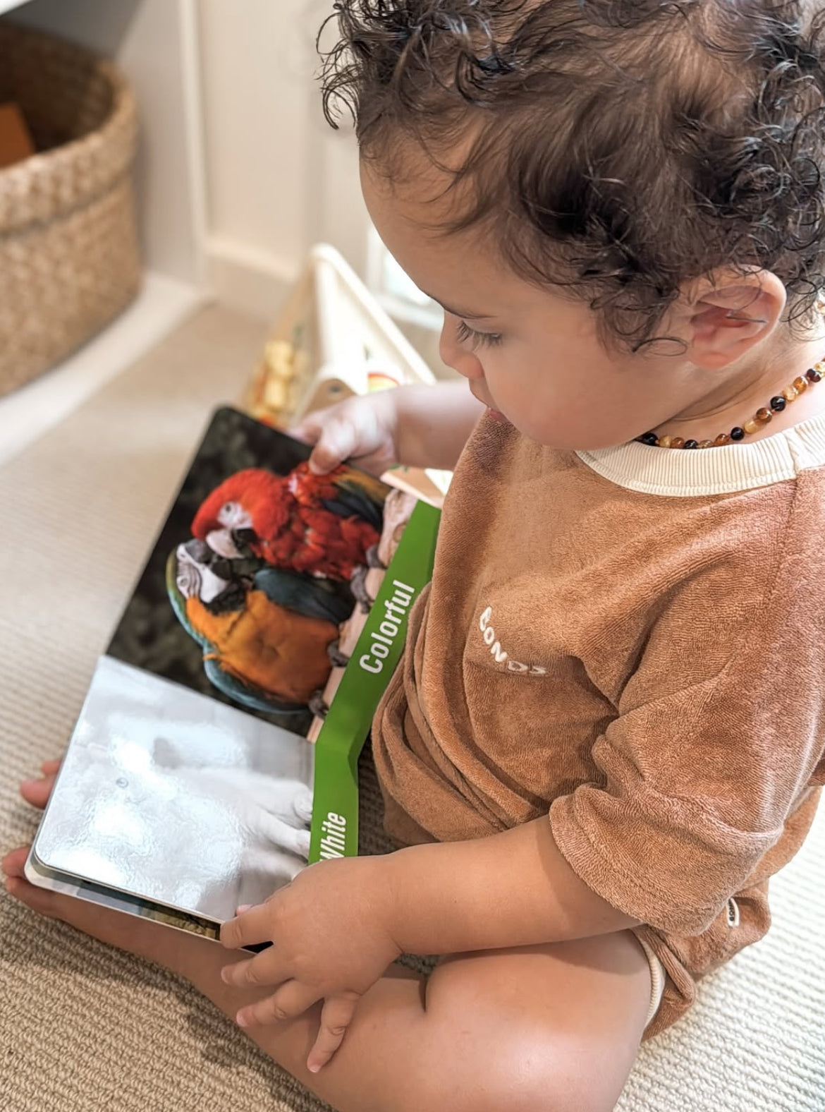 19-24 Month Educational Toy Kit