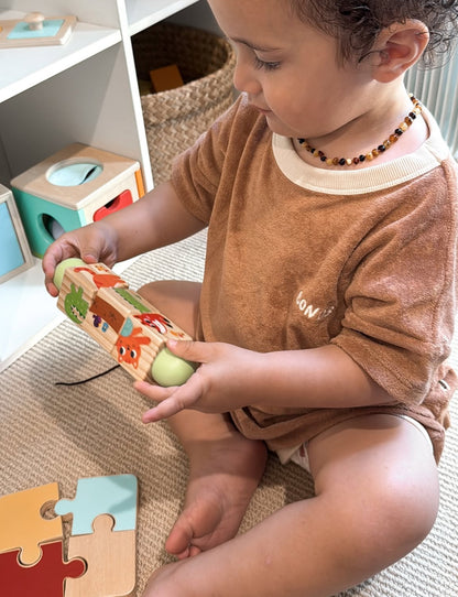 19-24 Month Educational Toy Kit