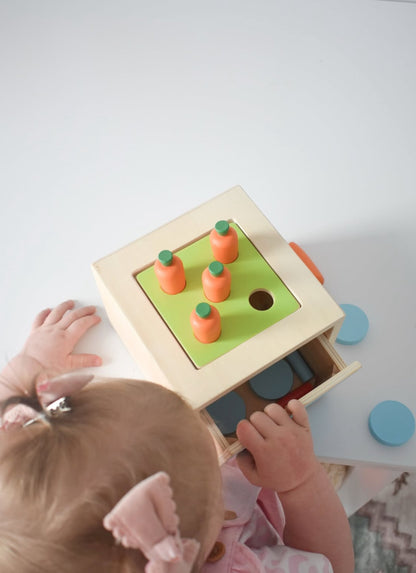 13-18 Month Educational Toy Kit